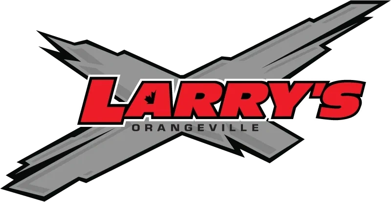 Larry's Small Engines logo alt